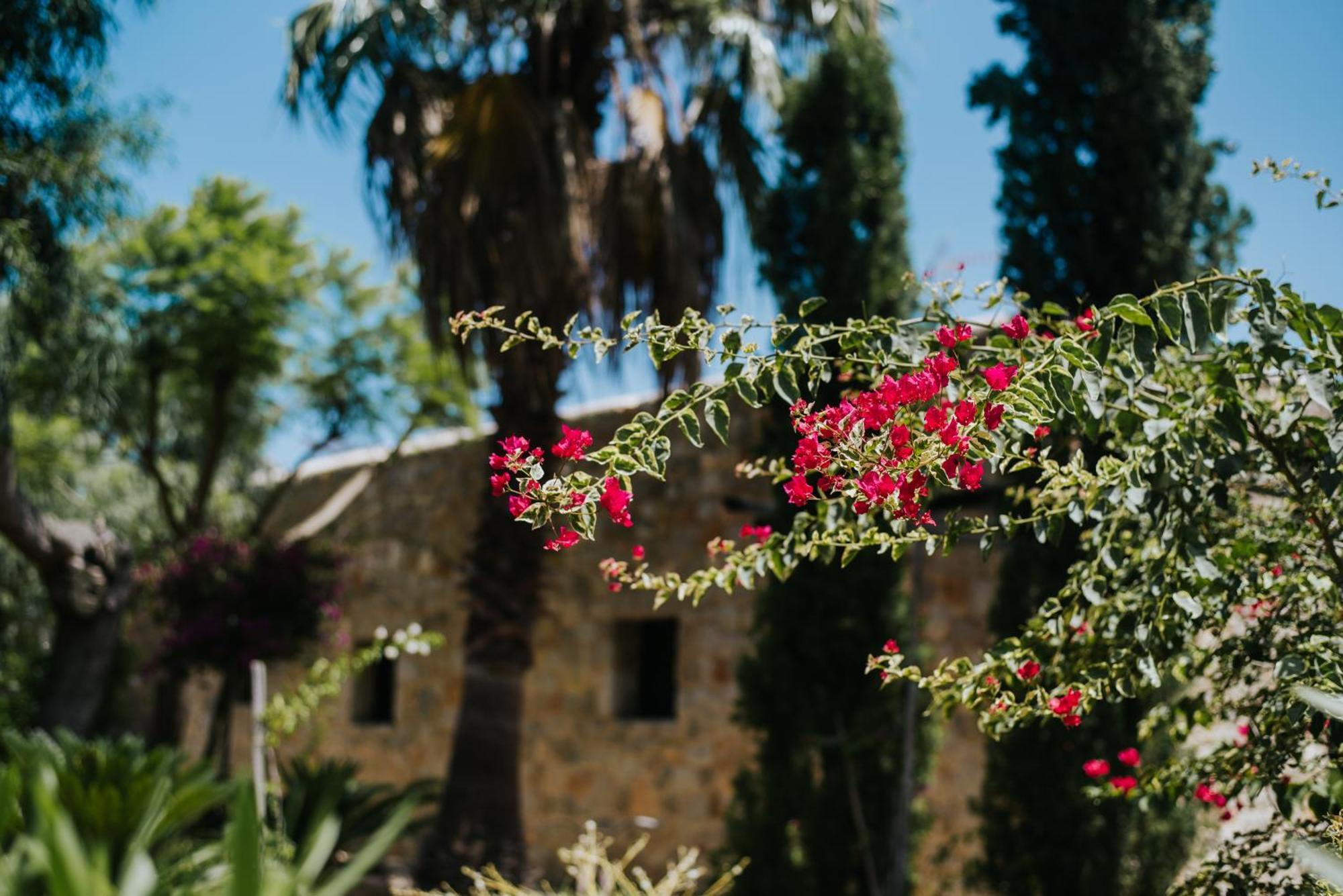 Villa & Guesthouse Paissa D'En Bernat カラ・タリダ エクステリア 写真